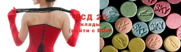 гидра Костерёво