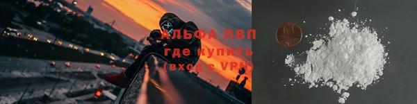 ПСИЛОЦИБИНОВЫЕ ГРИБЫ Корсаков