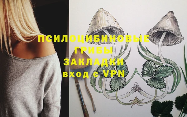 меф Коряжма