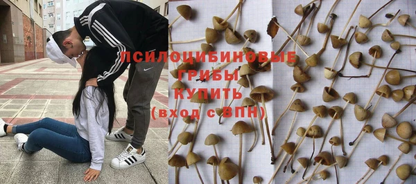сатива Козельск