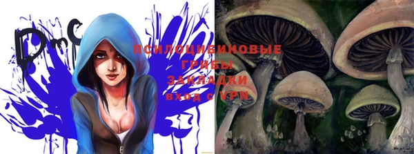 марки lsd Кодинск
