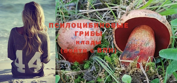 меф Коряжма