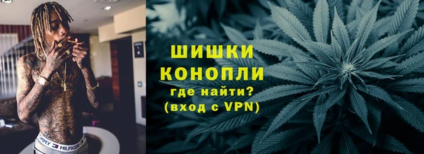 гидра Костерёво
