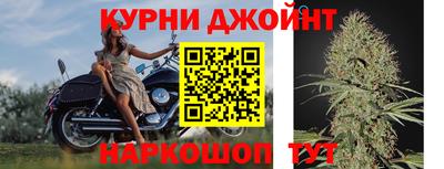 дживик Гатчина