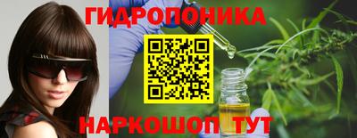 дживик Гатчина