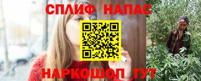 ешки Гай