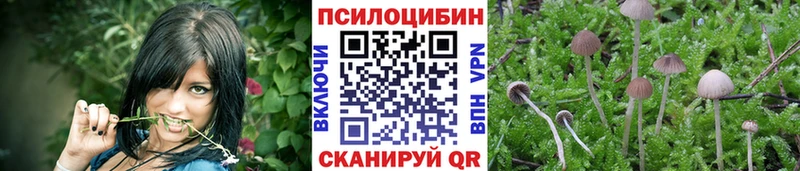 Галлюциногенные грибы GOLDEN TEACHER  OMG tor  Кольчугино 