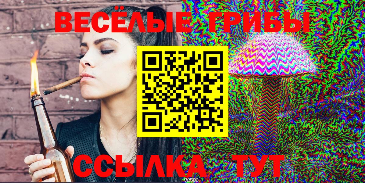 Кольчугино  Галлюциногенные грибы Magic Shrooms  Вход с VPN  Псилоцибиновые грибы Cubensis 